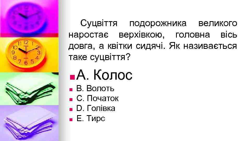 Суцвiття подорожника великого наростає верхiвкою, головна вiсь довга, а квiтки сидячi. Як називається таке