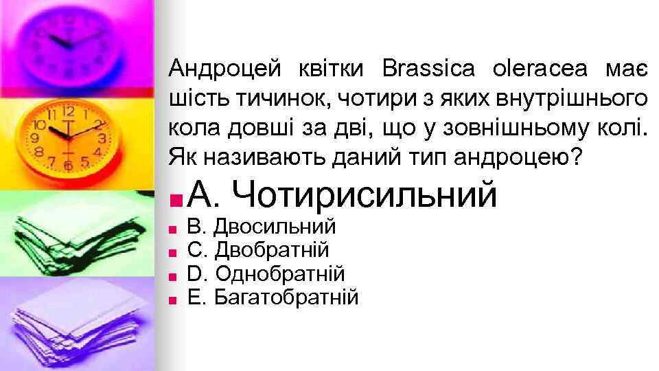 Андроцей квiтки Brassica oleracea має шiсть тичинок, чотири з яких внутрiшнього кола довшi за