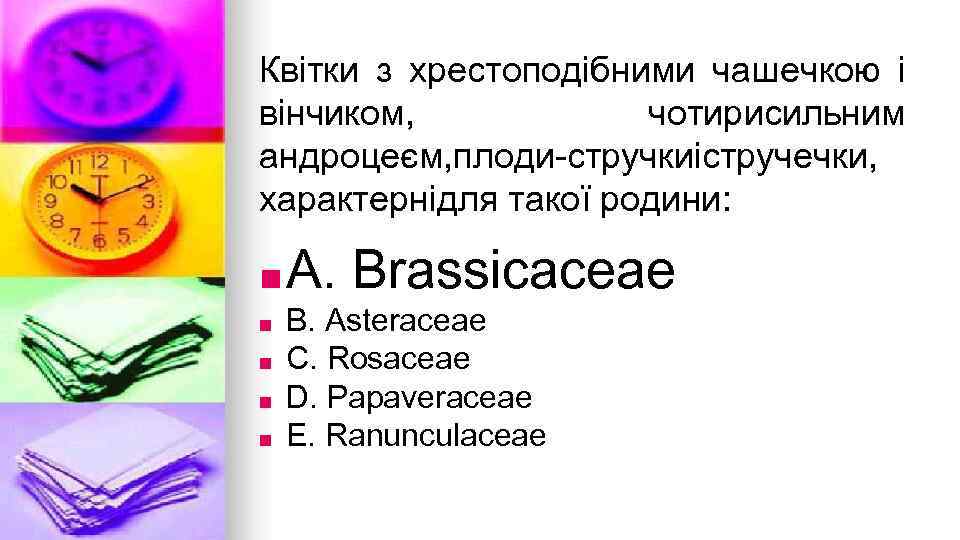 Квiтки з хрестоподiбними чашечкою i вiнчиком, чотирисильним андроцеєм, плоди-стручкиiстручечки, характернiдля такої родини: ■ A.