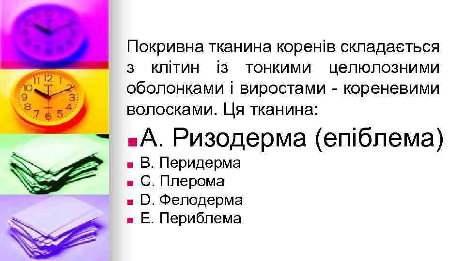 Покривна тканина коренiв складається з клiтин iз тонкими целюлозними оболонками i виростами - кореневими