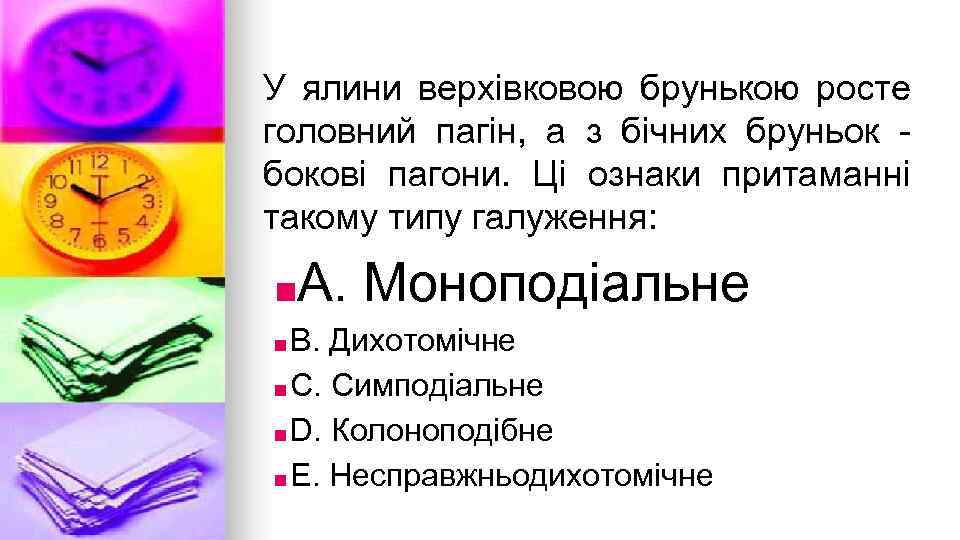 У ялини верхiвковою брунькою росте головний пагiн, а з бiчних бруньок боковi пагони. Цi