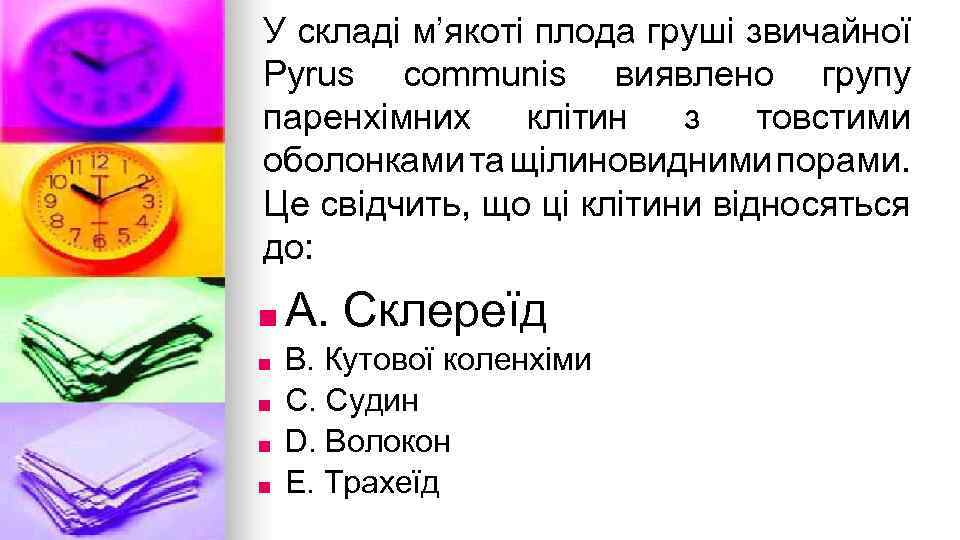 У складi м’якотi плода грушi звичайної Pyrus communis виявлено групу паренхiмних клiтин з товстими