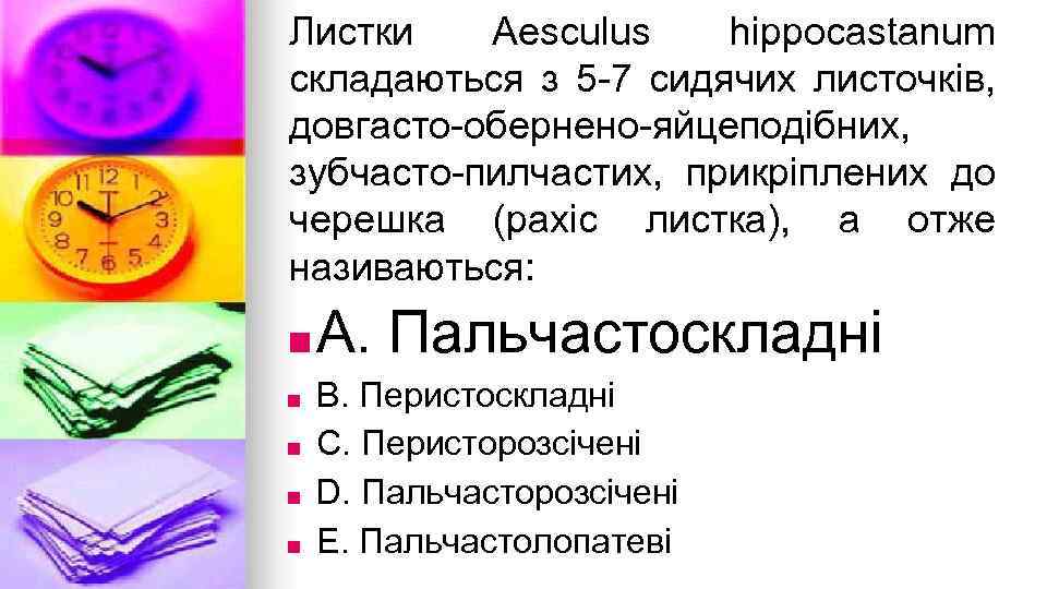 Листки Aesculus hippocastanum складаються з 5 -7 сидячих листочкiв, довгасто-обернено-яйцеподiбних, зубчасто-пилчастих, прикрiплених до черешка