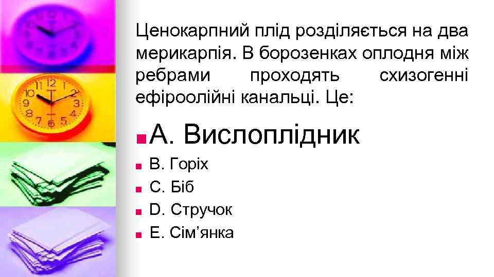 Ценокарпний плiд роздiляється на два мерикарпiя. В борозенках оплодня мiж ребрами проходять схизогеннi ефiроолiйнi