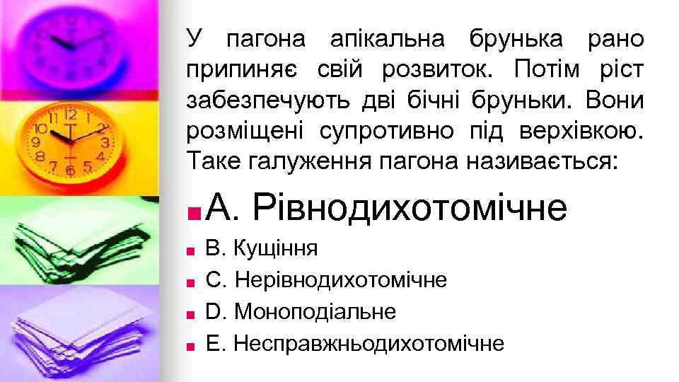 У пагона апiкальна брунька рано припиняє свiй розвиток. Потiм рiст забезпечують двi бiчнi бруньки.