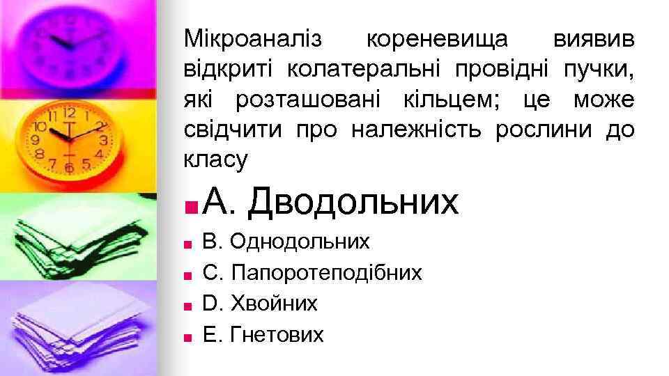 Мiкроаналiз кореневища виявив вiдкритi колатеральнi провiднi пучки, якi розташованi кiльцем; це може свiдчити про