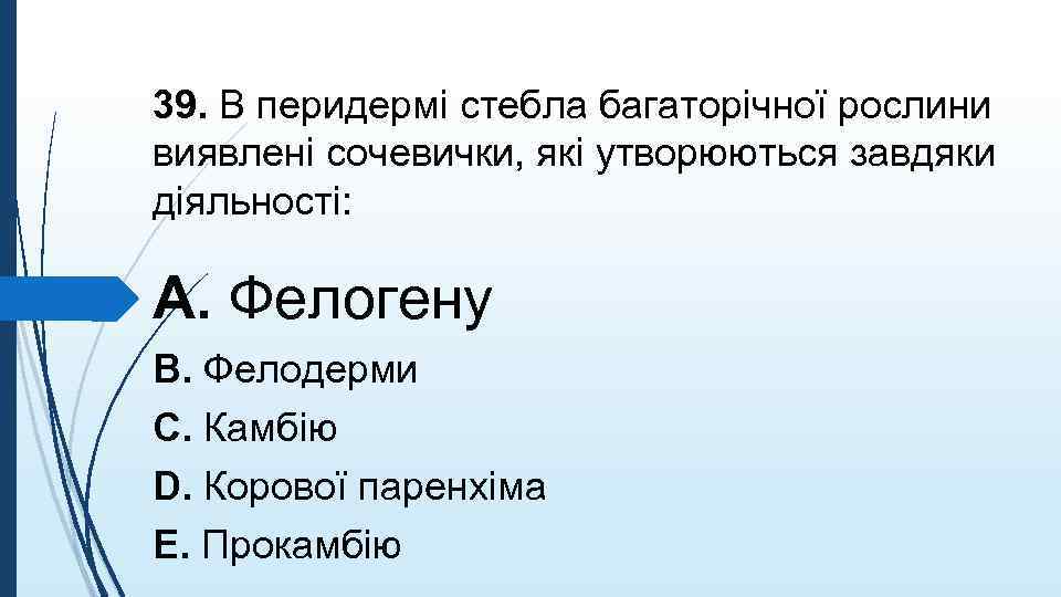 39. В перидермi стебла багаторiчної рослини виявленi сочевички, якi утворюються завдяки дiяльностi: A. Фелогену