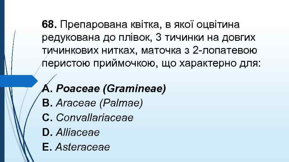 68. Препарована квiтка, в якої оцвiтина редукована до плiвок, 3 тичинки на довгих тичинкових