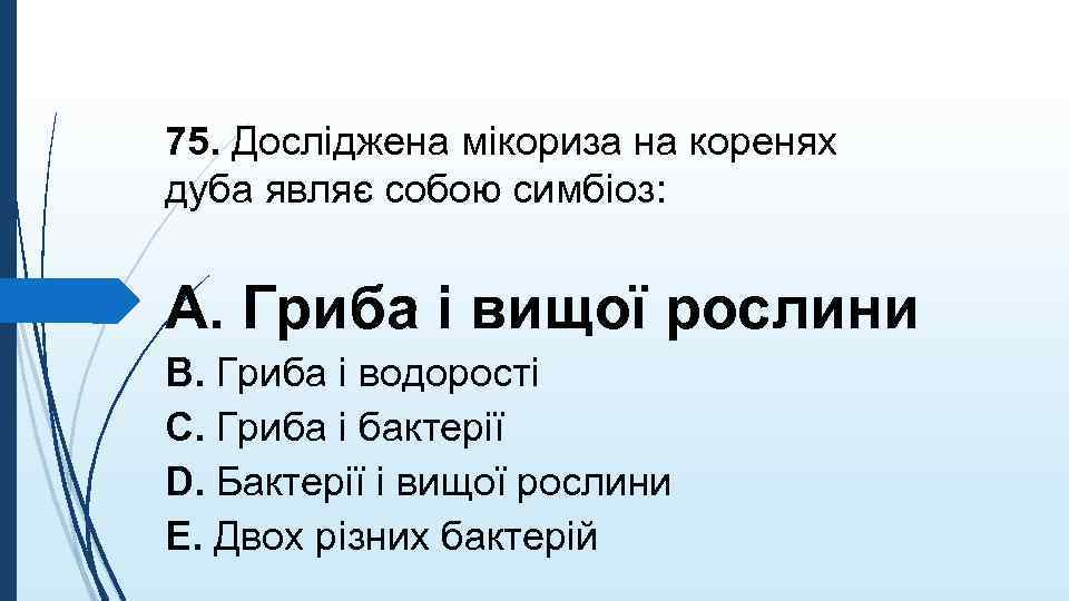 75. Дослiджена мiкориза на коренях дуба являє собою симбiоз: A. Гриба i вищої рослини