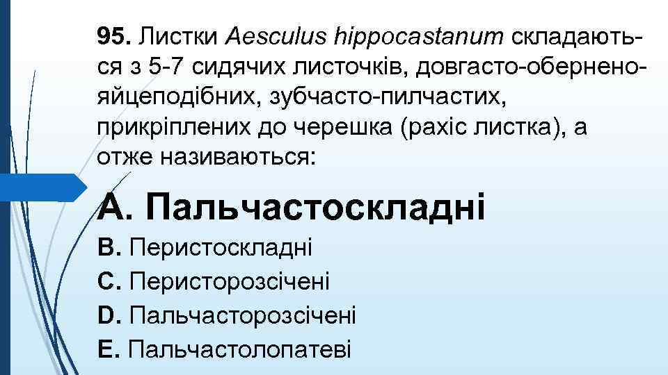 95. Листки Aesculus hippocastanum складаються з 5 -7 сидячих листочкiв, довгасто-оберненояйцеподiбних, зубчасто-пилчастих, прикрiплених до