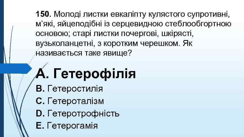 150. Молодi листки евкалiпту кулястого супротивнi, м’якi, яйцеподiбнi iз серцевидною стеблообгортною основою; старi листки