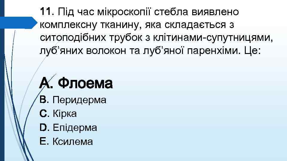 11. Пiд час мiкроскопiї стебла виявлено комплексну тканину, яка складається з ситоподiбних трубок з