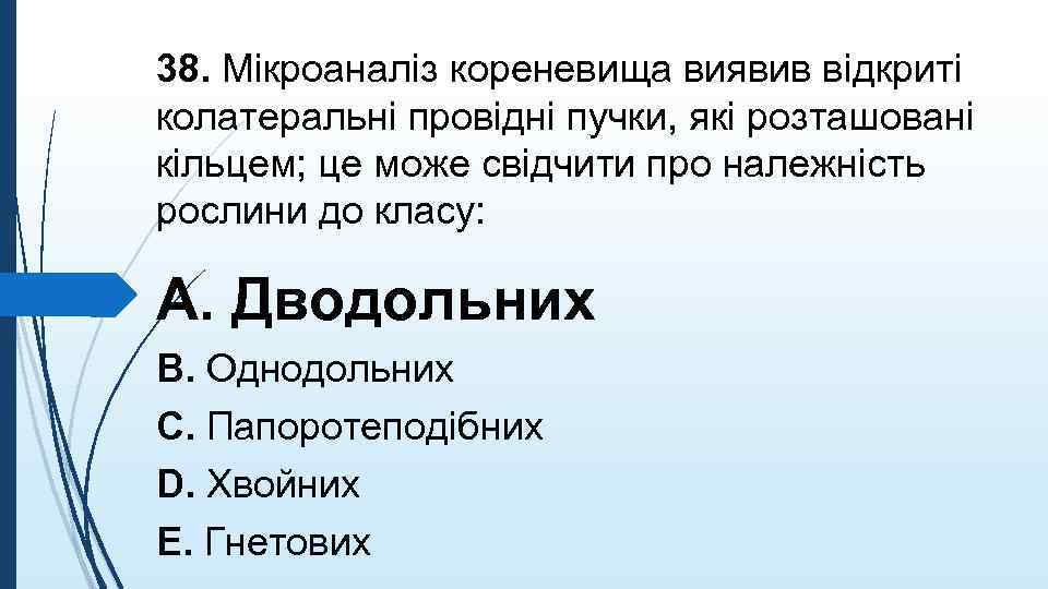 38. Мiкроаналiз кореневища виявив вiдкритi колатеральнi провiднi пучки, якi розташованi кiльцем; це може свiдчити