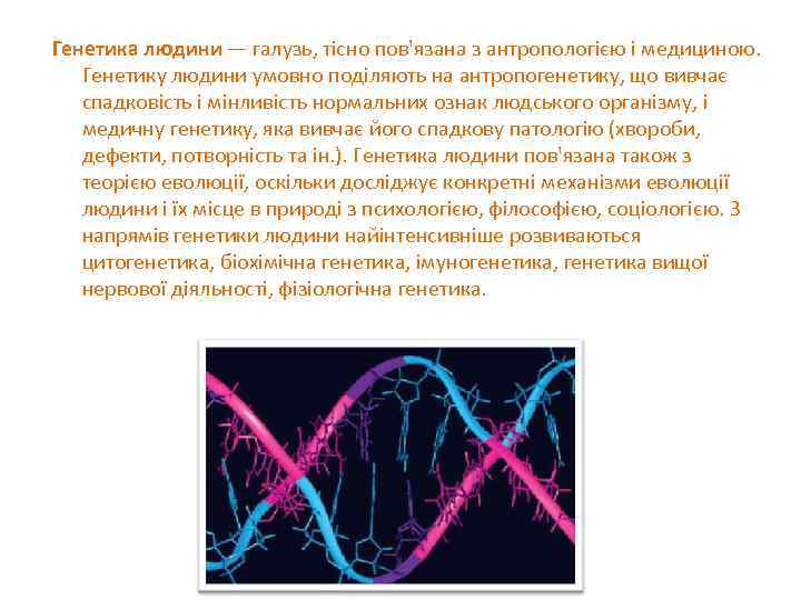 Генетика людини — галузь, тісно пов'язана з антропологією і медициною. Генетику людини умовно поділяють