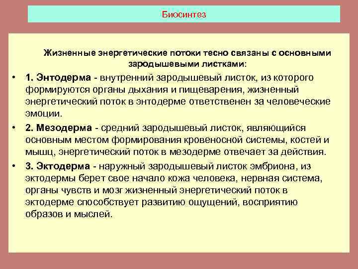 Биосинтез Жизненные энергетические потоки тесно связаны с основными зародышевыми листками: • 1. Энтодерма -