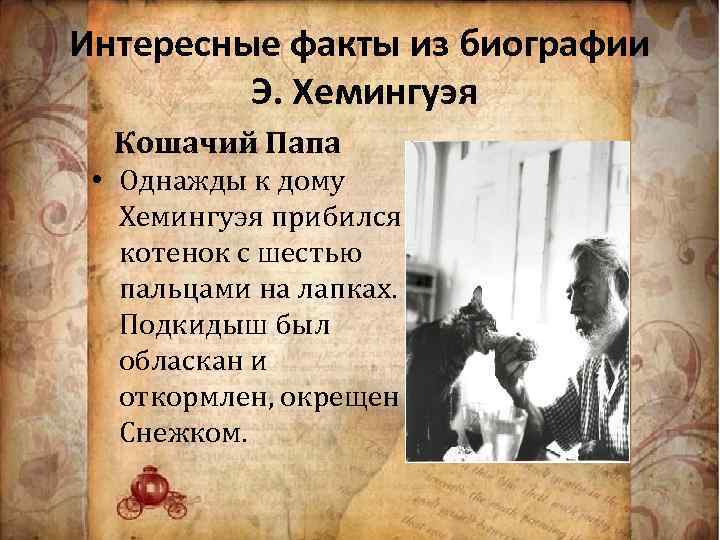 Интересные факты из биографии Э. Хемингуэя Кошачий Папа • Однажды к дому Хемингуэя прибился