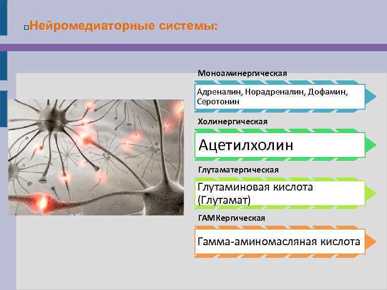  Нейромедиаторные системы: Моноаминергическая Адреналин, Норадреналин, Дофамин, Серотонин Холинергическая Ацетилхолин Глутаматергическая Глутаминовая кислота (Глутамат)