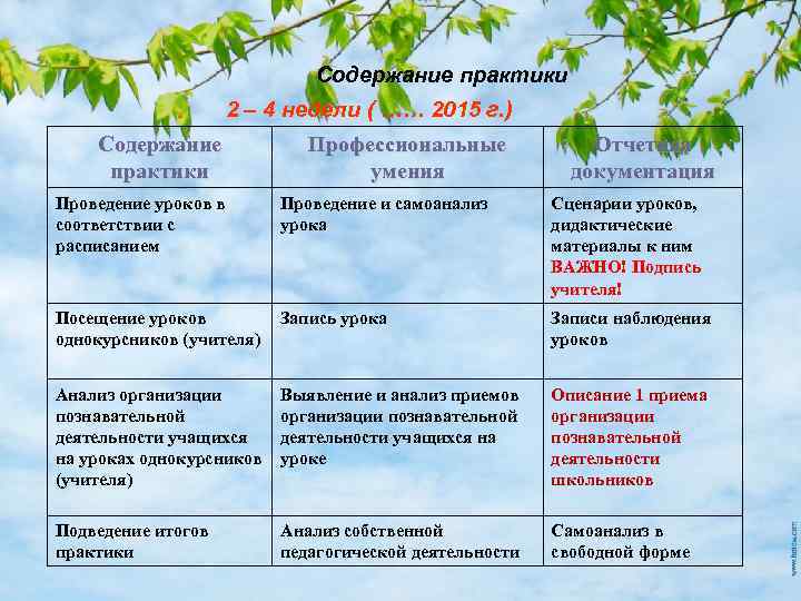 Содержание практики 2 – 4 недели ( …… 2015 г. ) Содержание практики Профессиональные