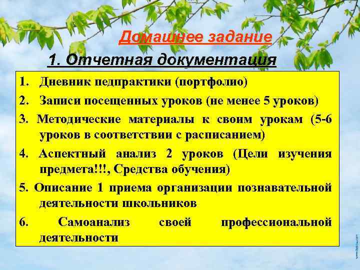 Домашнее задание 1. Отчетная документация 1. 2. 3. 4. 5. 6. Дневник педпрактики (портфолио)