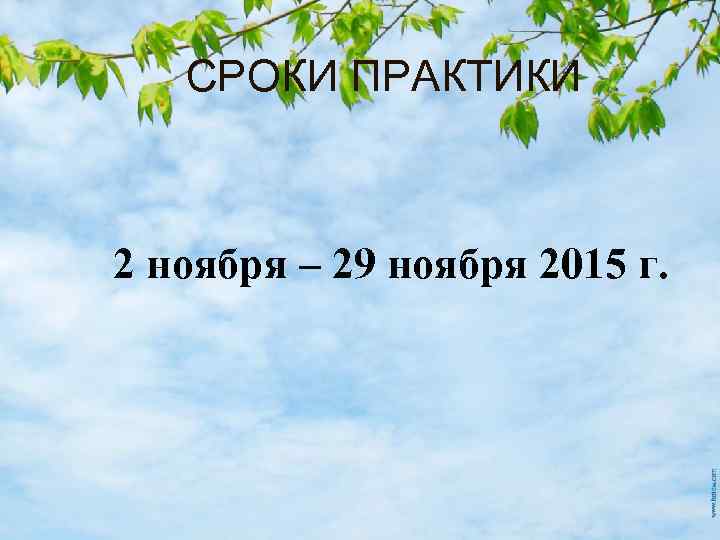 СРОКИ ПРАКТИКИ 2 ноября – 29 ноября 2015 г. 