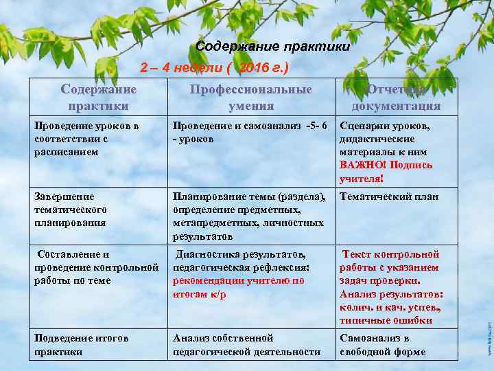 Содержание практики 2 – 4 недели ( 2016 г. ) Содержание практики Профессиональные умения