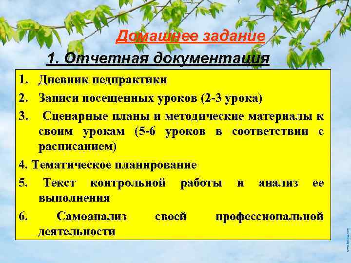 Домашнее задание 1. Отчетная документация 1. Дневник педпрактики 2. Записи посещенных уроков (2 -3