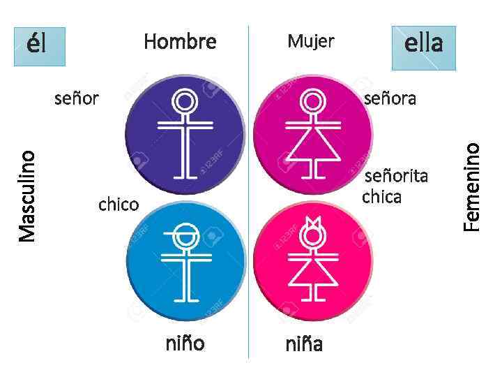 Hombre Mujer Masculino señor ella señorita chico niña Femenino él 