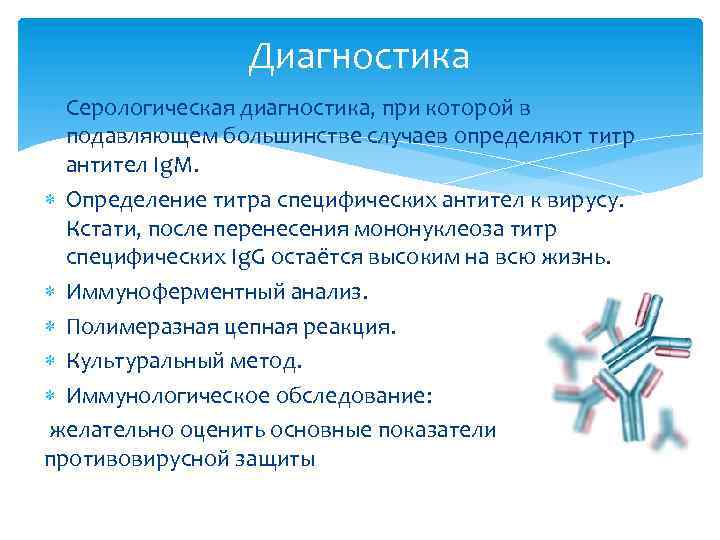 Диагностика Серологическая диагностика, при которой в подавляющем большинстве случаев определяют титр антител Ig. M.