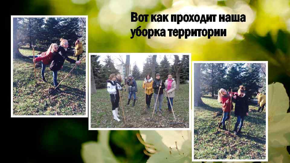 Вот как проходит наша уборка территории 