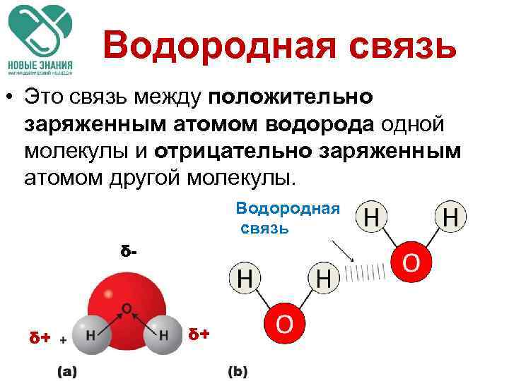 Водородная связь • Это связь между положительно заряженным атомом водорода одной молекулы и отрицательно