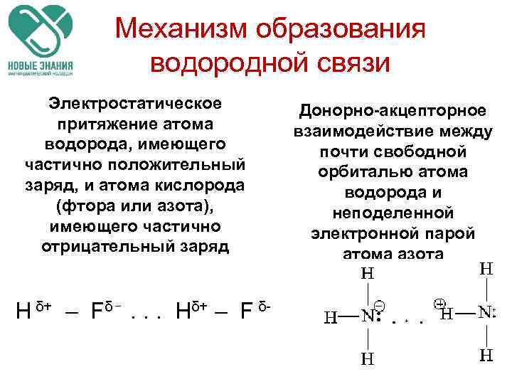 Механизм образования водородной связи Электростатическое притяжение атома водорода, имеющего частично положительный заряд, и атома