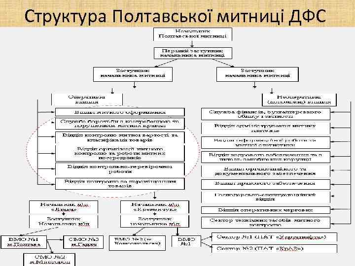 Структура Полтавської митниці ДФС 