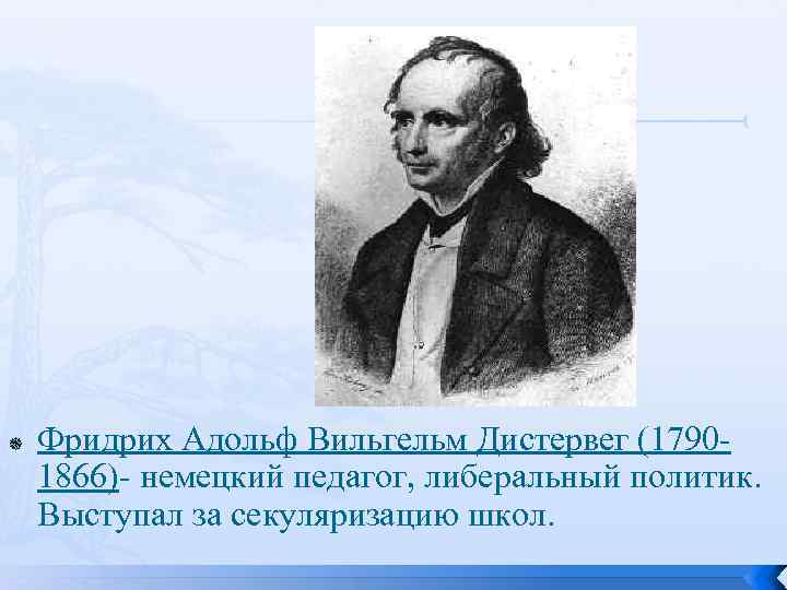  Фридрих Адольф Вильгельм Дистервег (17901866)- немецкий педагог, либеральный политик. Выступал за секуляризацию школ.