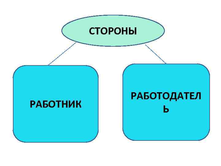 СТОРОНЫ РАБОТНИК РАБОТОДАТЕЛ Ь 