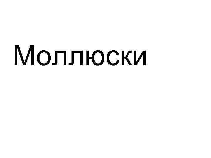 Моллюски 