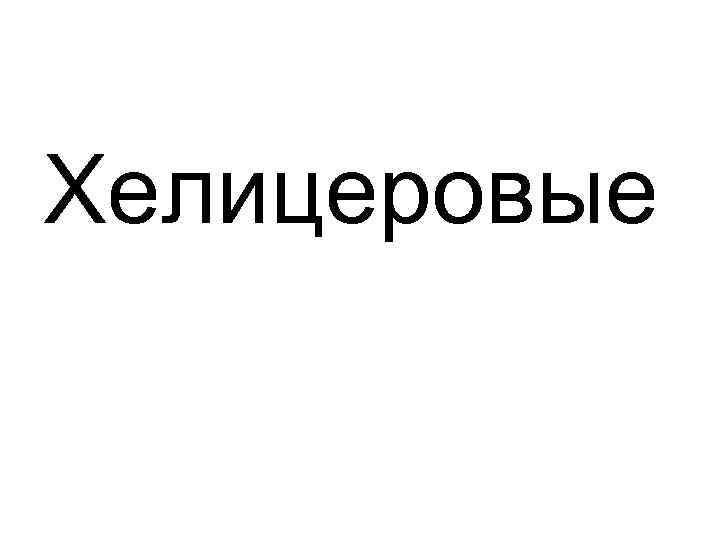 Хелицеровые 