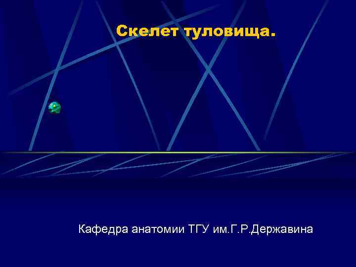 Скелет туловища. Кафедра анатомии ТГУ им. Г. Р. Державина 