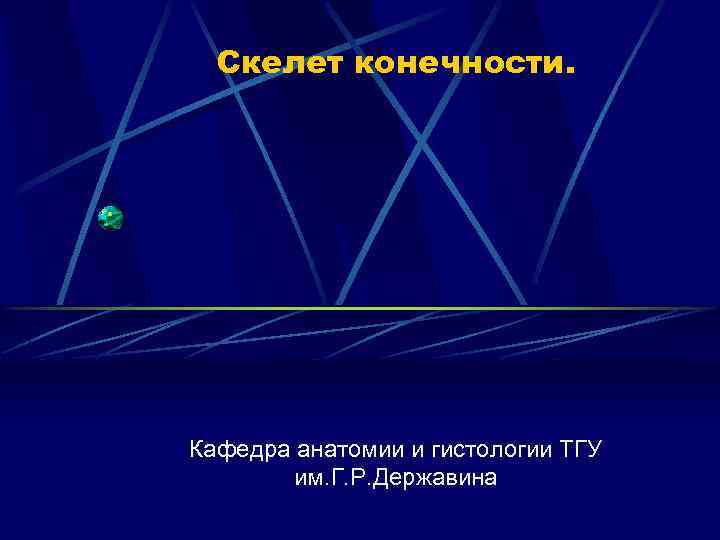 Скелет конечности. Кафедра анатомии и гистологии ТГУ им. Г. Р. Державина 