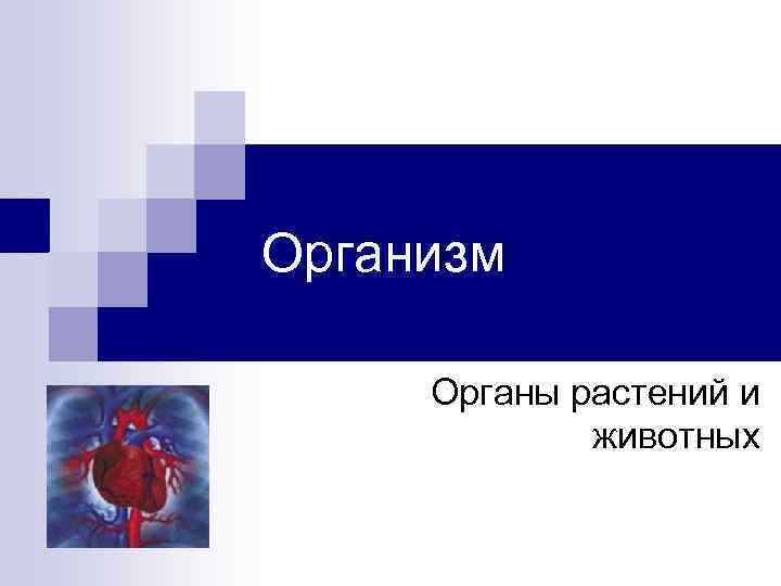 Организм Органы растений и животных 