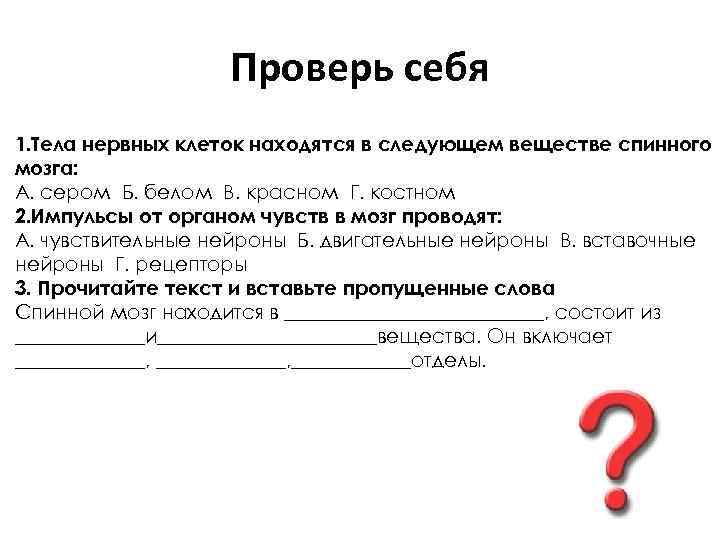 Проверь себя 1. Тела нервных клеток находятся в следующем веществе спинного мозга: А. сером