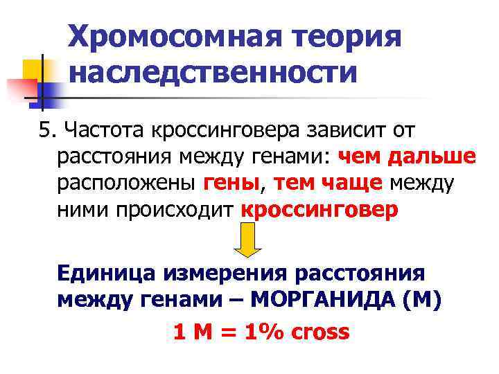 Хромосомная теория наследственности 5. Частота кроссинговера зависит от расстояния между генами: чем дальше расположены