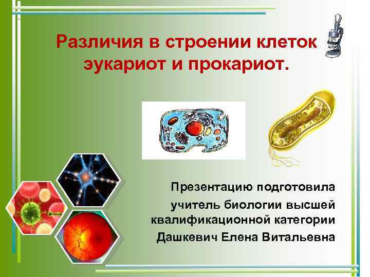 Различия в строении клеток эукариот и прокариот. Презентацию подготовила учитель биологии высшей квалификационной категории