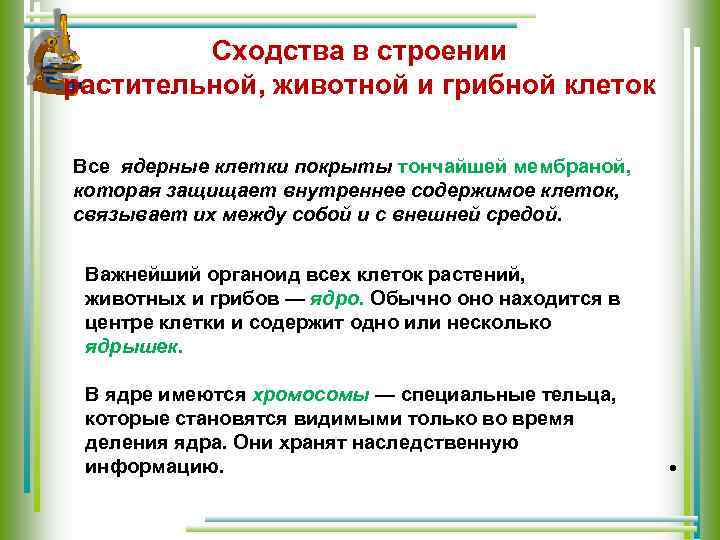 Сходства в строении растительной, животной и грибной клеток Все ядерные клетки покрыты тончайшей мембраной,