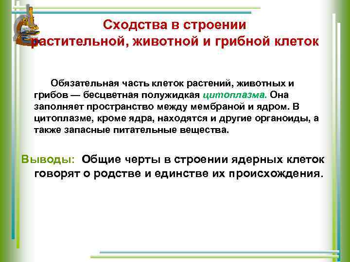 Сходства в строении растительной, животной и грибной клеток Обязательная часть клеток растений, животных и