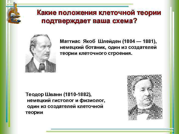 Какие положения клеточной теории подтверждает ваша схема? Маттиас Якоб Шлейден (1804 — 1881), немецкий