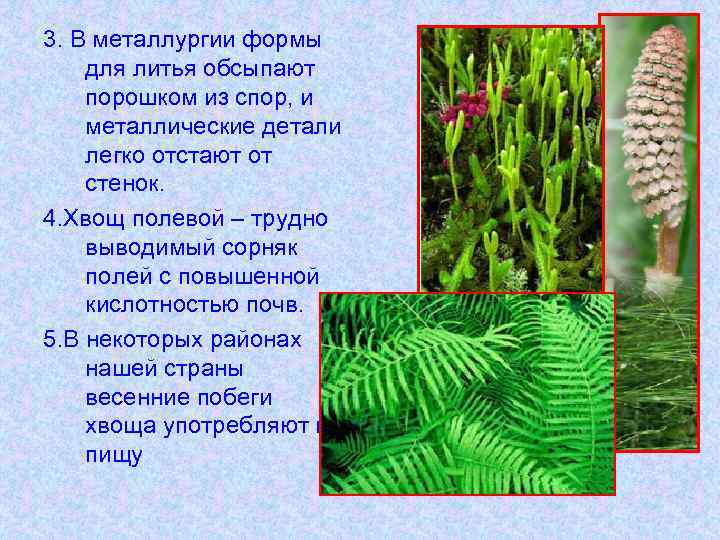 3. В металлургии формы для литья обсыпают порошком из спор, и металлические детали легко