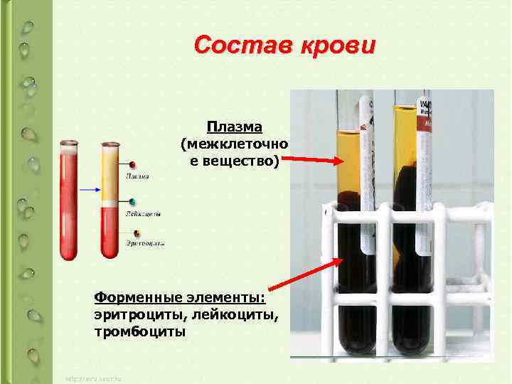 Состав крови Плазма (межклеточно е вещество) Форменные элементы: эритроциты, лейкоциты, тромбоциты 