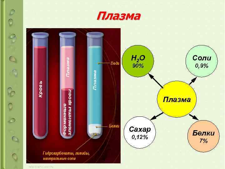Плазма H 2 O Соли 90% 0, 9% Плазма Сахар 0, 12% Белки 7%
