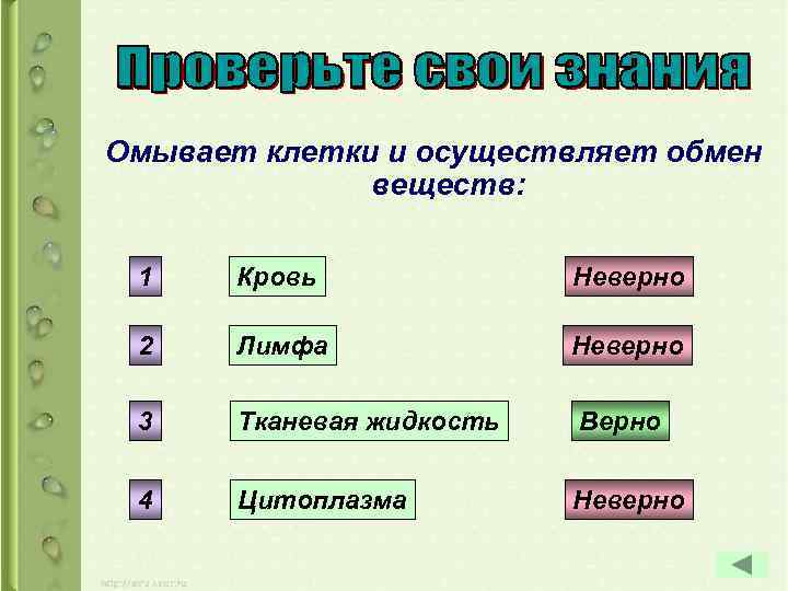 Омывает клетки и осуществляет обмен веществ: 1 Кровь Неверно 2 Лимфа Неверно 3 Тканевая