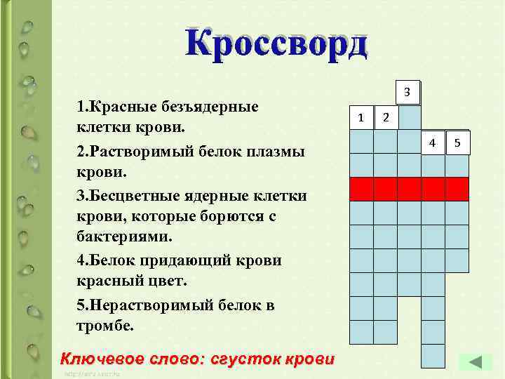 Кроссворд 1. Красные безъядерные клетки крови. 2. Растворимый белок плазмы крови. 3. Бесцветные ядерные